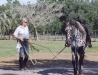 abbe-first-lunging-051406.jpg